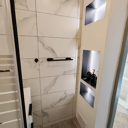 Apartment Brezinova Brno