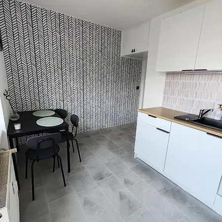 Apartment Brezinova Brno